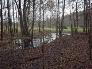CTF-Kattendorf Helmut 031